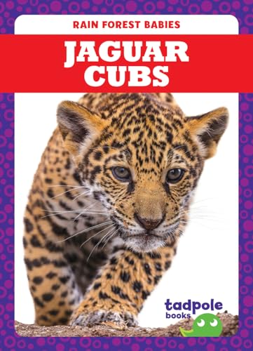 Jaguar Cubs (Rain Forest Babies)