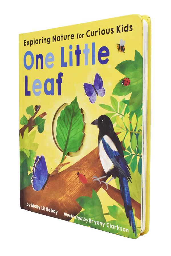 One Little Leaf Exploring