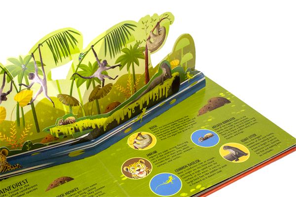 Animals (Pop-Up Planet) I