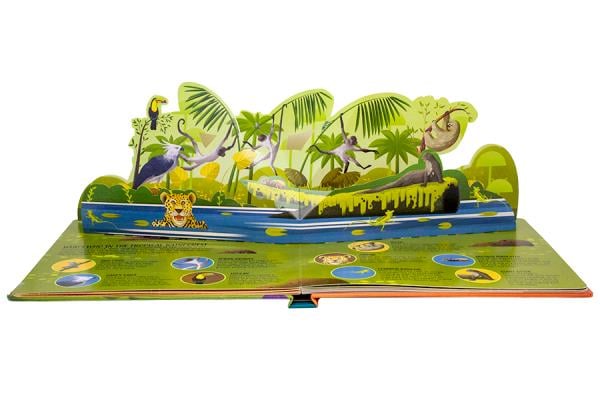 Animals (Pop-Up Planet) I