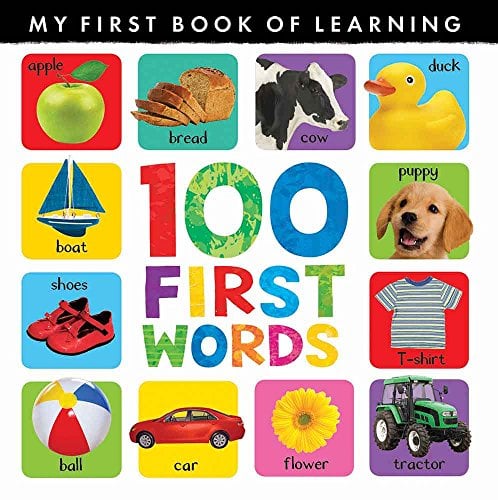 100 First Words (My First Book of Learning)