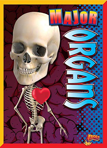 Major Organs (Amazing Human Body)