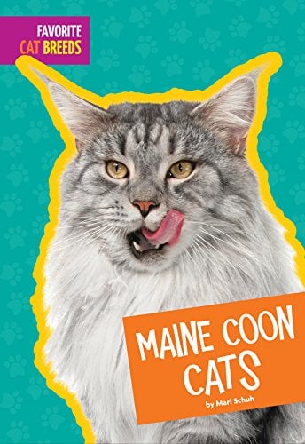 Maine Coon Cats (Favorite Cat Breeds)