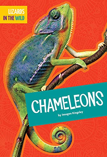 Chameleons (Lizards in the Wild)