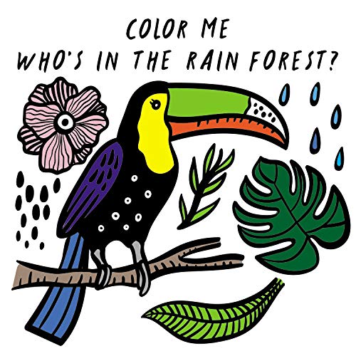 Color Me: Who's in the Rain Forest? (Wee Gallery Bath Books)