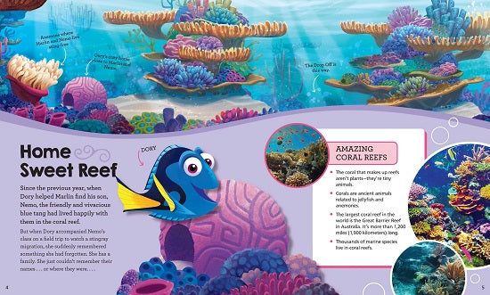 Finding Dory 3D Wood Model (IncrediBuilds)