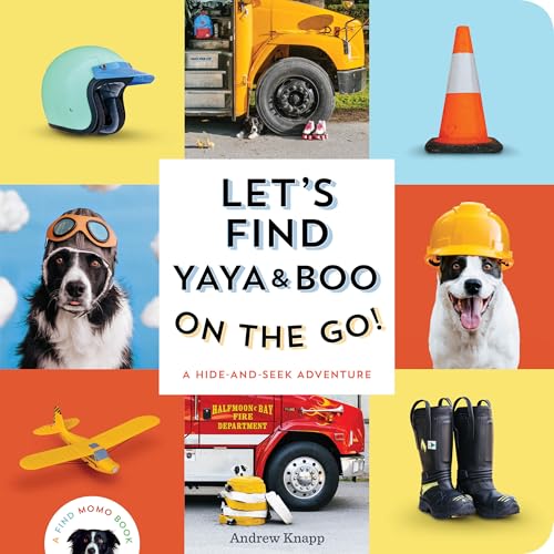 Let's Find Yaya and Boo on the Go! A Hide-And-Seek Adventure (Find Momo, Bk. 8)
