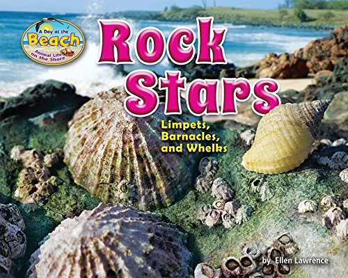 Rock Stars: Limpets, Barnacles, and Whelks (Day at the Beach: Animal Life on the Shore)