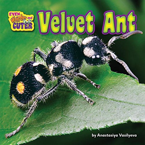 Velvet Ant (Even Weirder and Cuter, Little Bits! Readers)