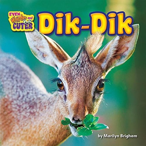 Dik-Dik (Even Weirder and Cuter, Little Bits! Reader)