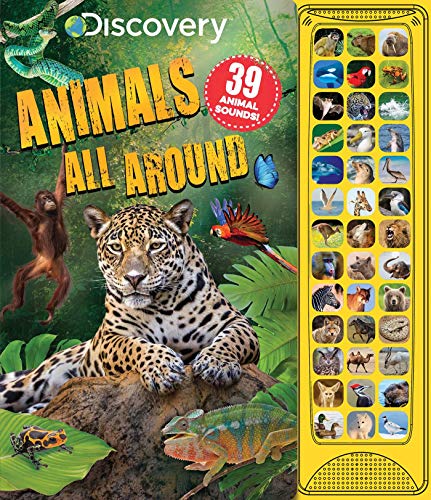Discovery: Animals All Around Sound Board