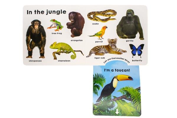 Animals (Slide & Surprise