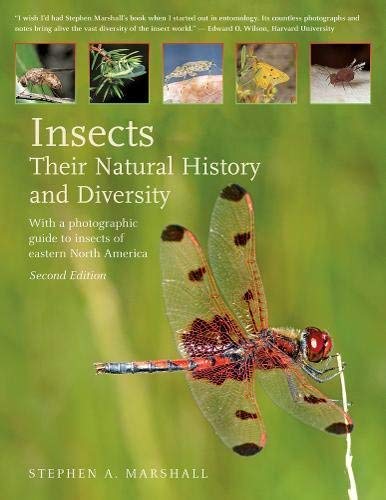 Insects Their Natural History and Diversity: With a Photographic Guide to Insects of Eastern North America