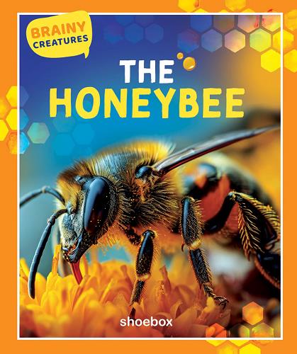 The Honeybee (Brainy Creatures)