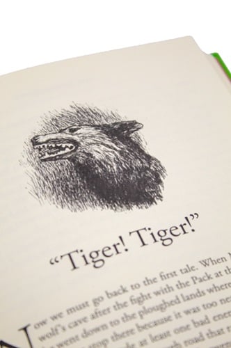 The Jungle Book (Paper Mi