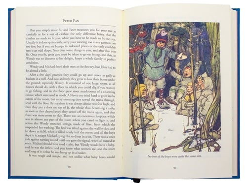 Peter Pan (Paper Mill Pre