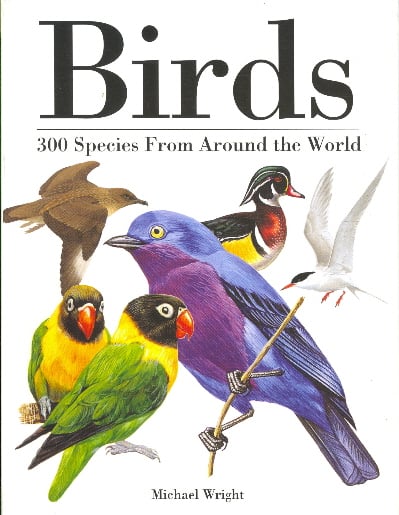 Birds: 300 Species From Around the World