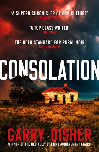 Consolation (Paul Hirsch Mystery, Bk. 3)
