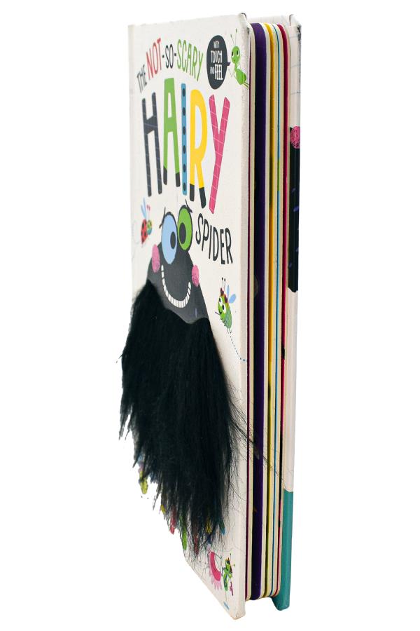 The Not So Scary Hairy Spider (Hairy Touch and Feel)