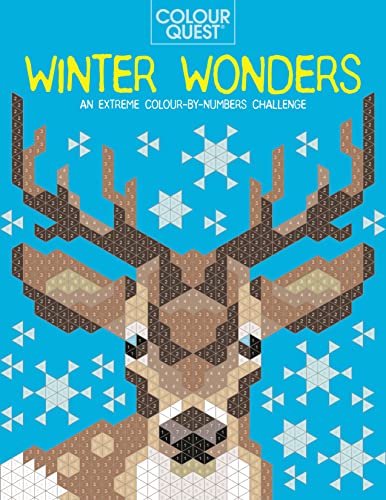 Winter Wonders: An Extreme Colour by Numbers Challenge (Colour Quest)