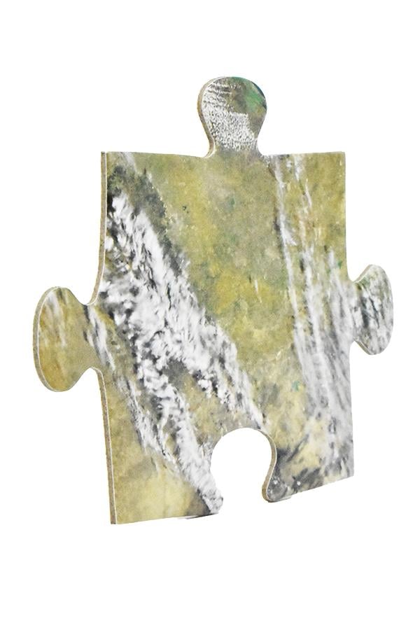 Earth 100 Piece Jigsaw Pu
