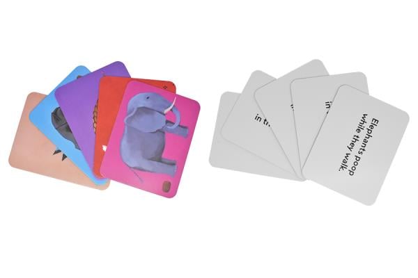 Everyone Poops Flash Card