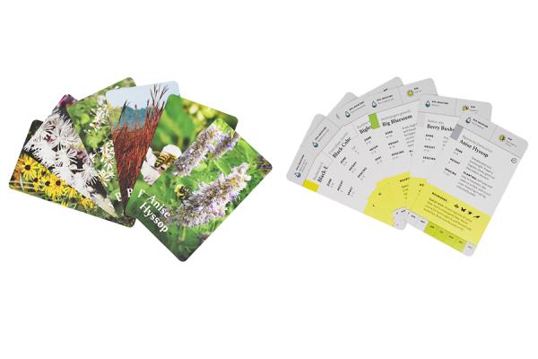 The Pollinator Garden Pla