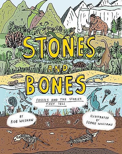 Stones and Bones: Fossils and the Stories They Tell