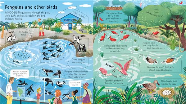 Look Inside a Zoo (Look I