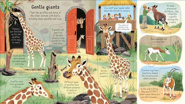 Look Inside a Zoo (Look I
