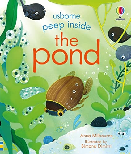 The Pond (Peep Inside)