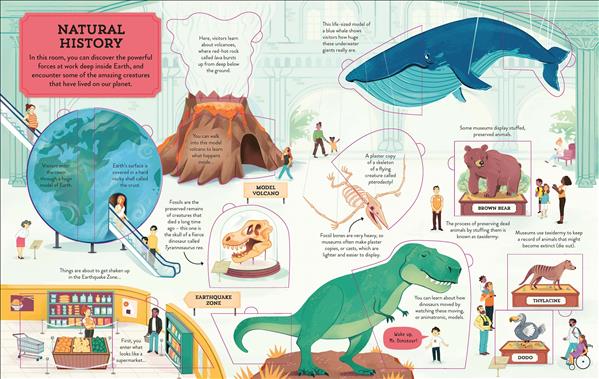 See Inside a Museum (See 