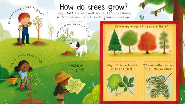 Why Do We Need Trees (Fir