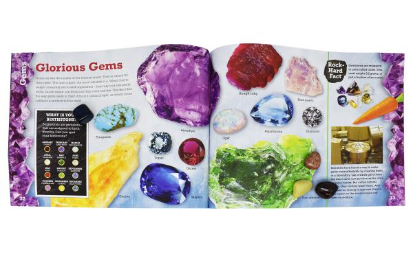Rocks and Minerals (Rock 