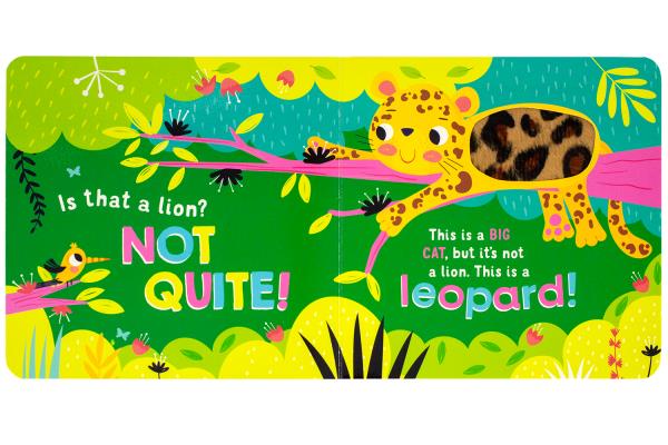 Is This a Lion A FANTASTI
