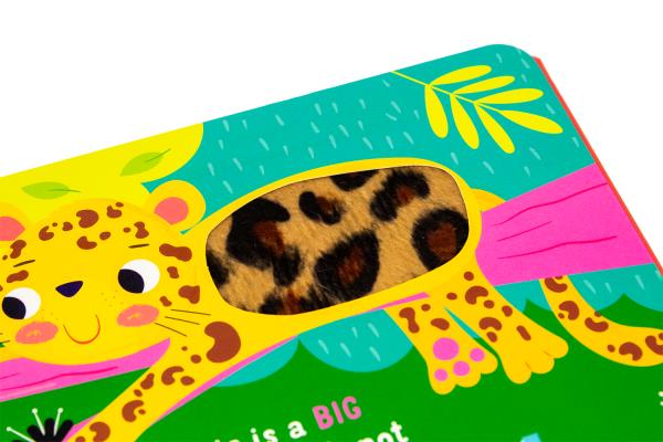 Is This a Lion A FANTASTI
