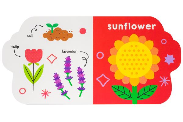 Nature (Little Book of Fi