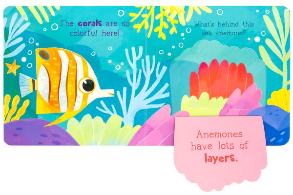 Ocean (Flap-In-A-Flap) Im