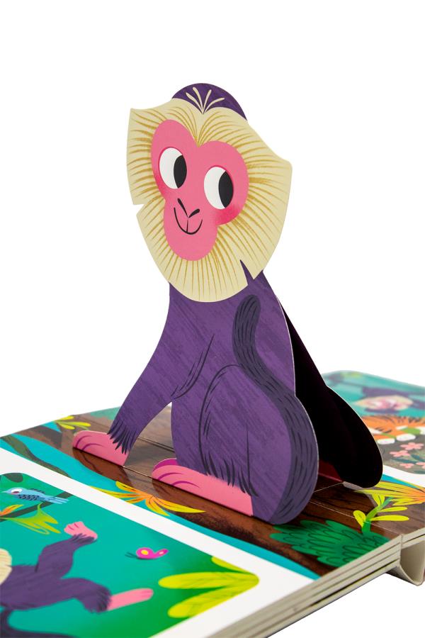 Wild Animals (Pop-Up Stor