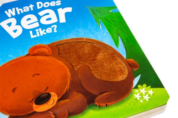 What Does Bear Like Image