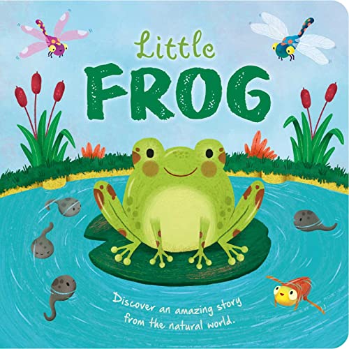 Little Frog