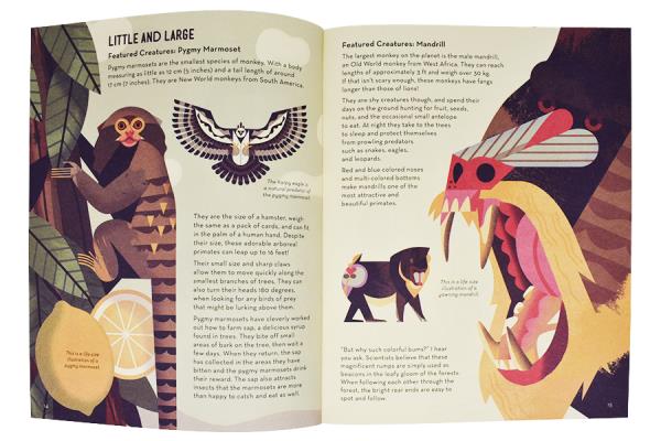 Mad About Monkeys Image 3