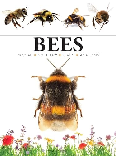 Bees (Mini Encyclopedia)