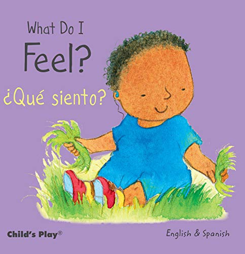 What Do I Feel?/Que Siento? (Small Senses Bilingual)
