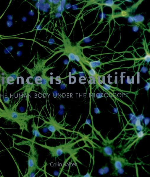 Science Is Beautiful