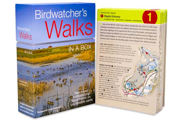 Birdwatchers Walks in a B