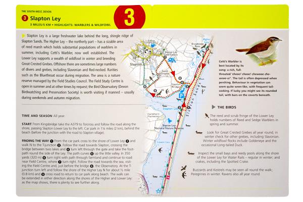 Birdwatchers Walks in a B