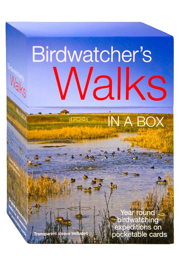 Birdwatchers Walks in a Box: Year Round Birdwatching Expeditions on Pocketable Cards
