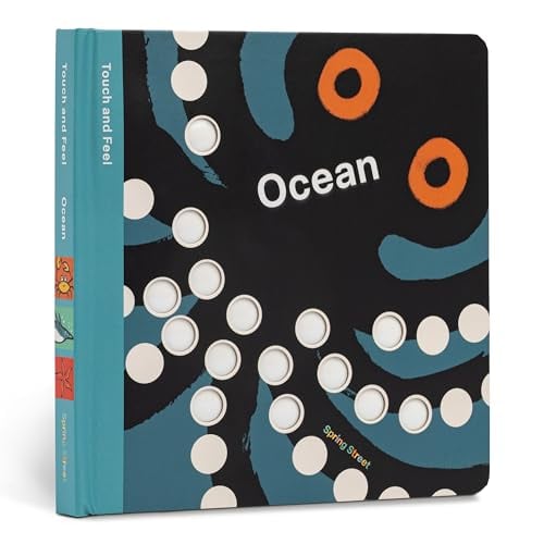 Ocean (Spring Street Touch and Feel)
