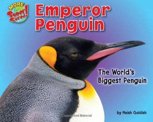 Emperor Penguin (More Super Sized!)